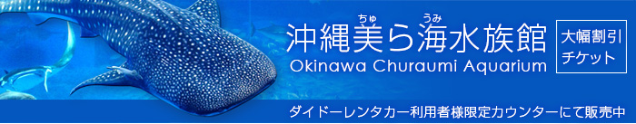 「沖縄美ら海(ちゅらうみ)水族館」県内最安値で那覇空港店カウンターにて販売中！